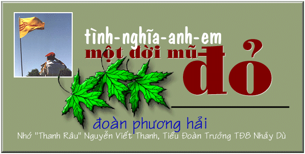 Ti`nh Nghi~a Anh Em - Mo^.t DDo+`i Mu~ DDo?